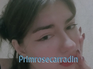 Primrosecarradin