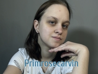 Primrosecarvin