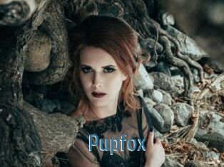 Pupfox