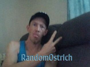 RandomOstrich