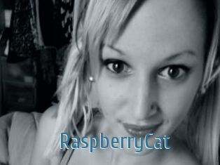RaspberryCat