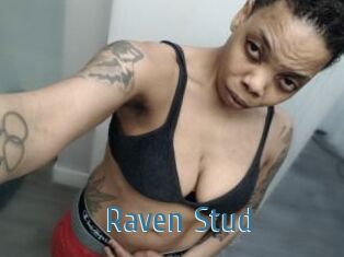 Raven_Stud