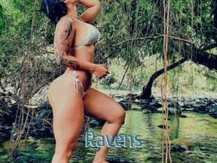 Ravens