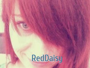 RedDaisy