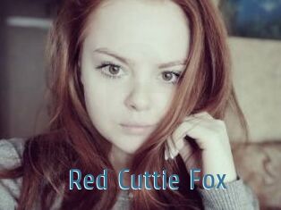 Red_Cuttie_Fox