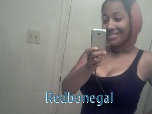 Redbonegal