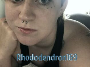 Rhododendron169