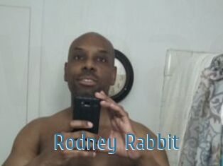 Rodney_Rabbit