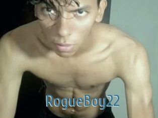 RogueBoy22