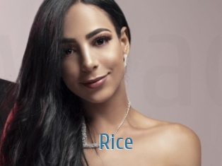 Rice