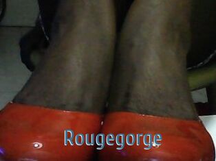 Rougegorge