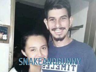 SNAKEANDBUNNY