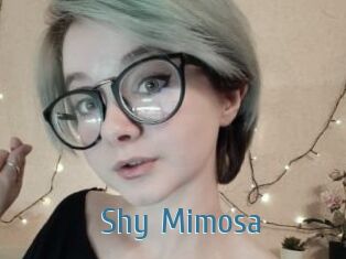 Shy_Mimosa