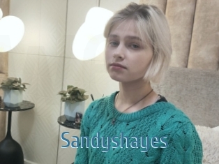 Sandyshayes