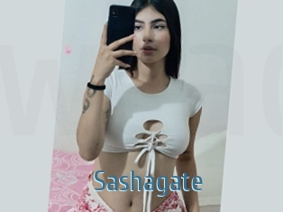 Sashagate