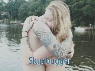 Skyebugger