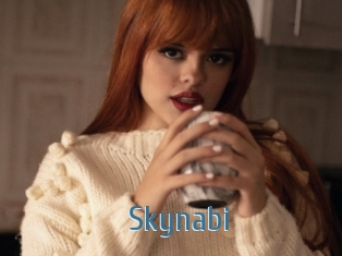 Skynabi