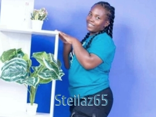 Steilaz65