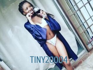 TINY20004