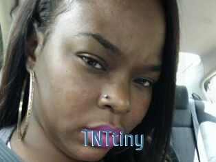 T_N_Ttiny