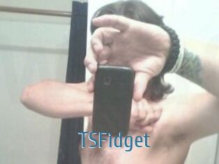 TSFidget
