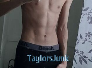 TaylorsJunk