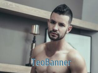 TeoBanner
