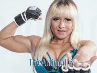 TheAnimal13