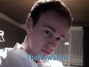 TheNewStud