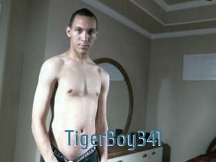 TigerBoy341