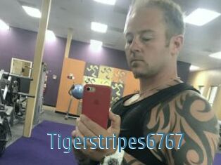 Tigerstripes6767