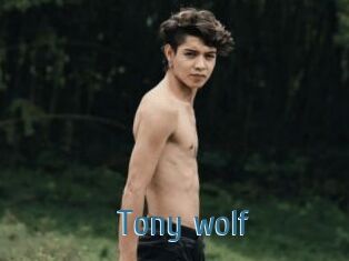 Tony_wolf