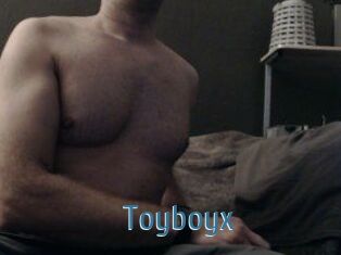 Toyboyx