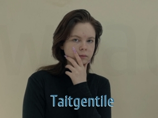 Taitgentile