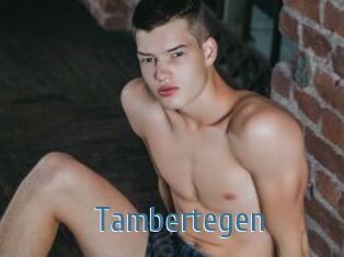 Tambertegen