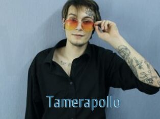 Tamerapollo