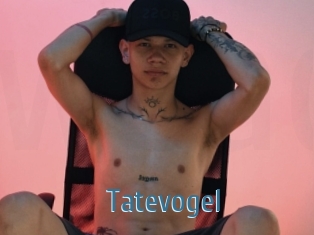 Tatevogel