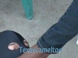 Texascameltoe