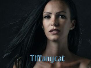 Tiffanycat