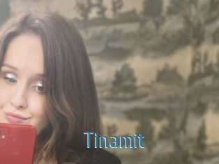 Tinamit