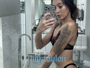Tiny_taylorr