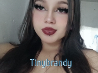 Tinybrandy