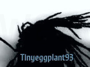 Tinyeggplant93