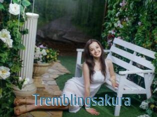 Tremblingsakura