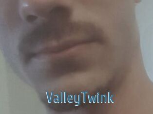 ValleyTwink