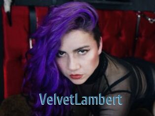 VelvetLambert