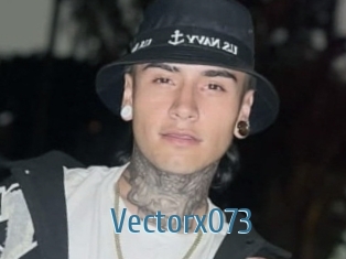 Vectorx073