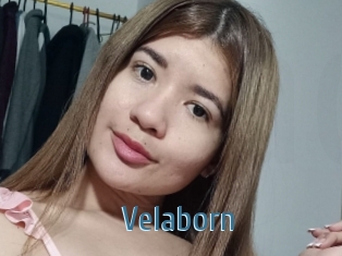Velaborn