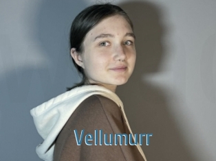 Vellumurr