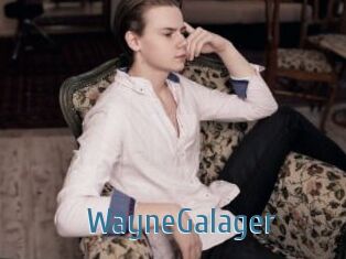 WayneGalager